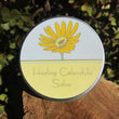 Healing Calendula Salve