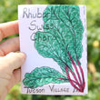 Rhubarb Swiss Chard Seeds