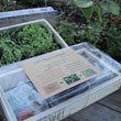 Let's Grow Lettuce! - Mini Greenhouse Lettuce Box Growing Kit